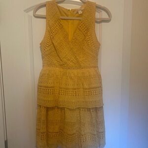 Yellow Lace Francesca’s Dress